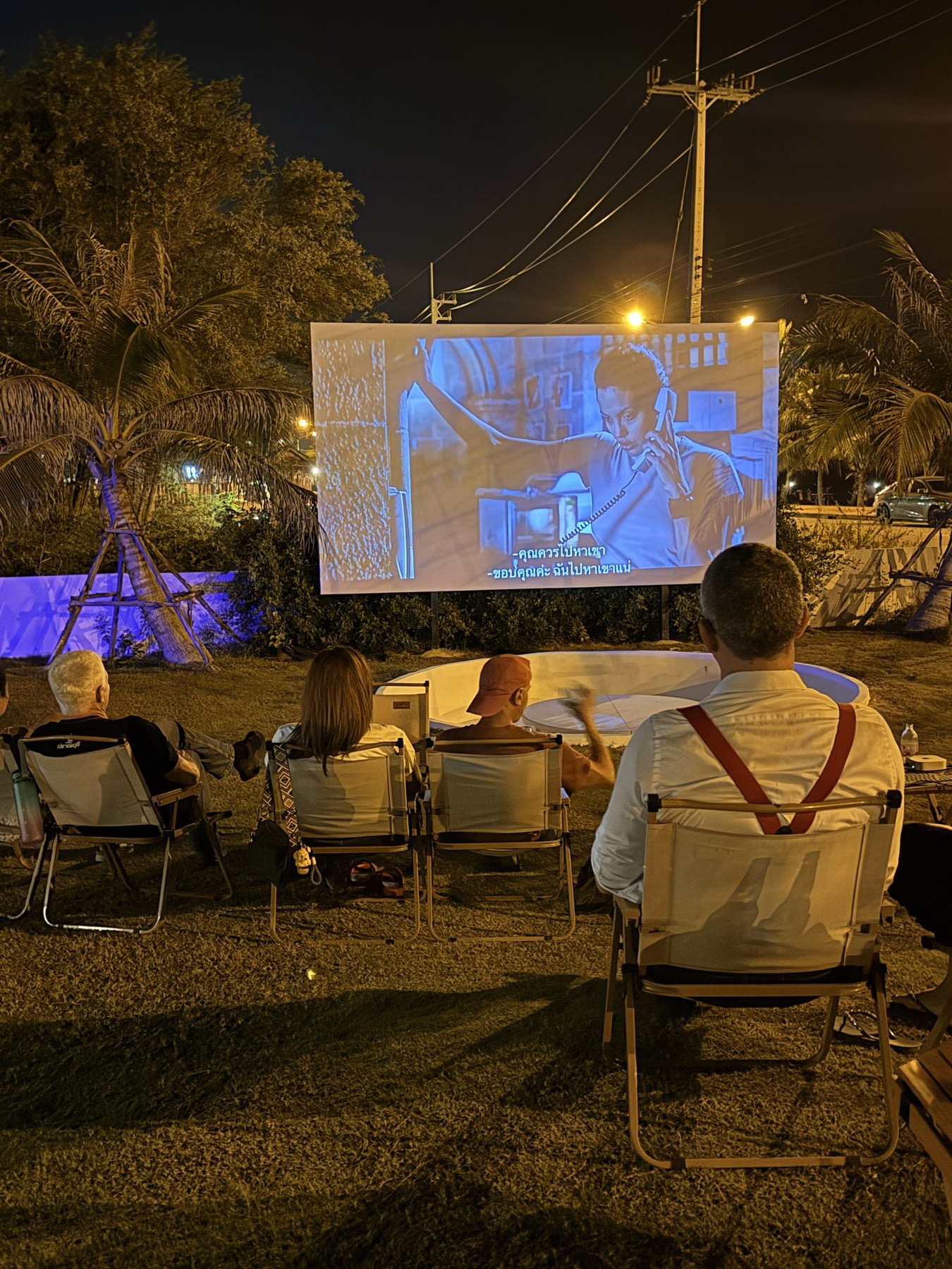 Cinema night on the lawn